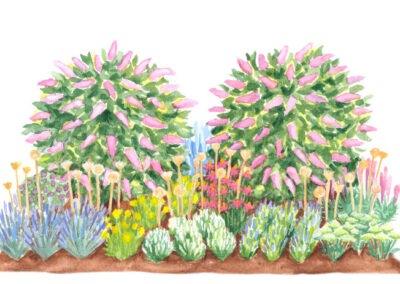 Ilustrátorka Magdalena Krejčí - Ilustrace pro projekt Kvetoucí zahrada